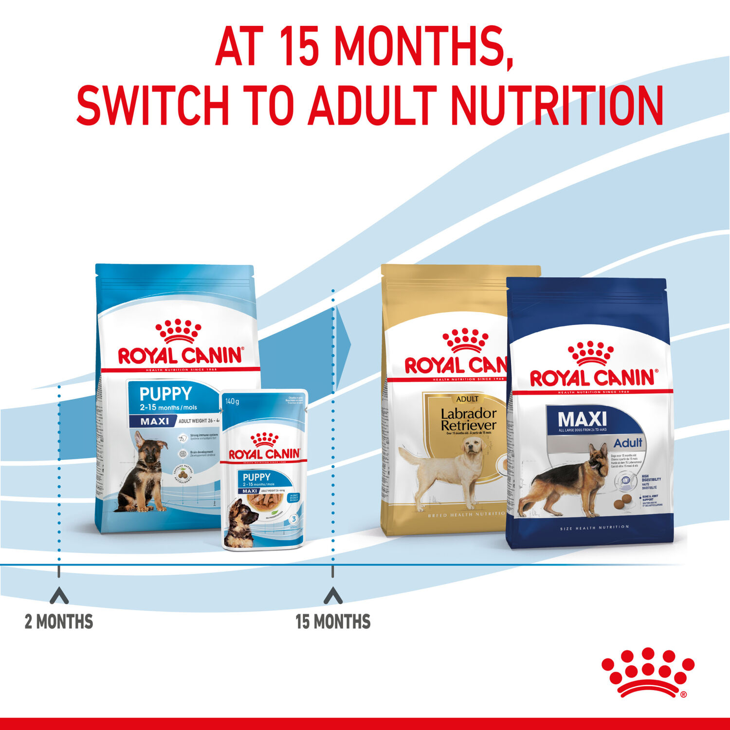 Royal canin outlet td